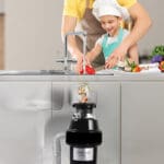 Food Waste Sink Erator/Disposer; 220-240v: 50Hz, Black