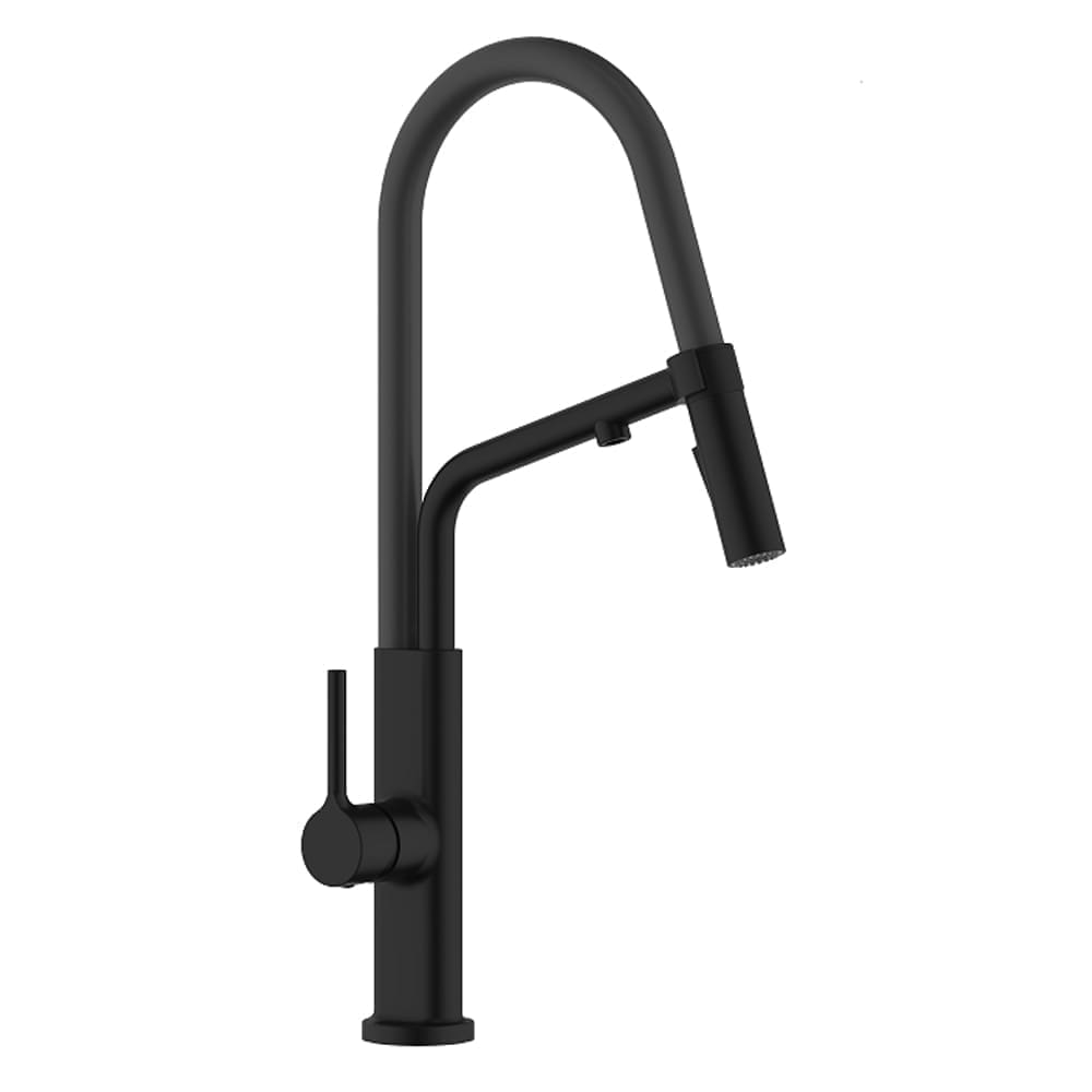 Tapis: Sink Mixer, 2 in 1 with flex hose, adjustable spray and built in RO Tap, Matt Black