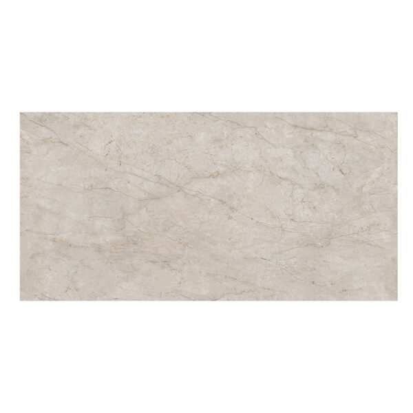 Roots Silver: Matt Porcelain Tile; (60.0x120.0)cm