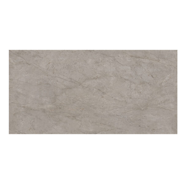 Roots Gris: Matt Porcelain Tile; (60.0x120.0)cm