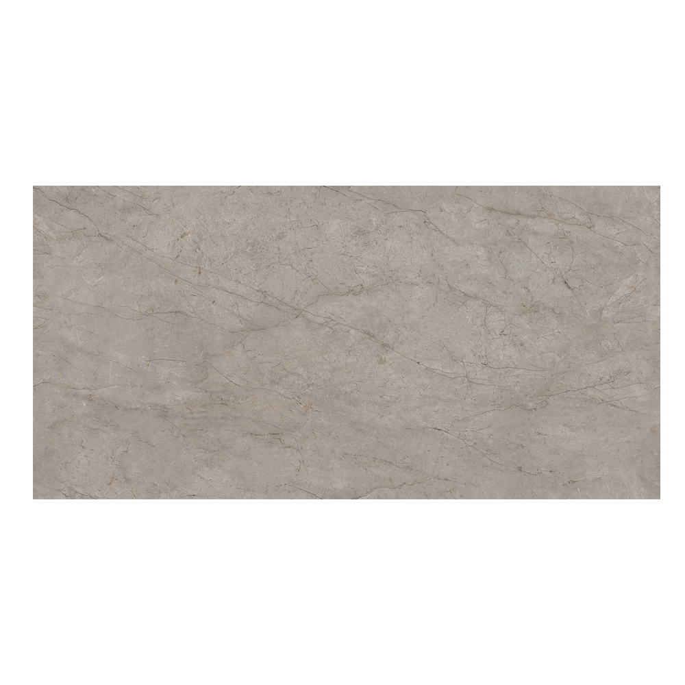 Roots Gris: Matt Porcelain Tile; (60.0x120.0)cm