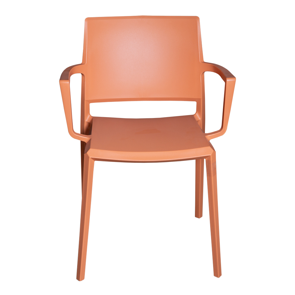 Dining Chair With Armrest; (48x52x80)cm, Orange